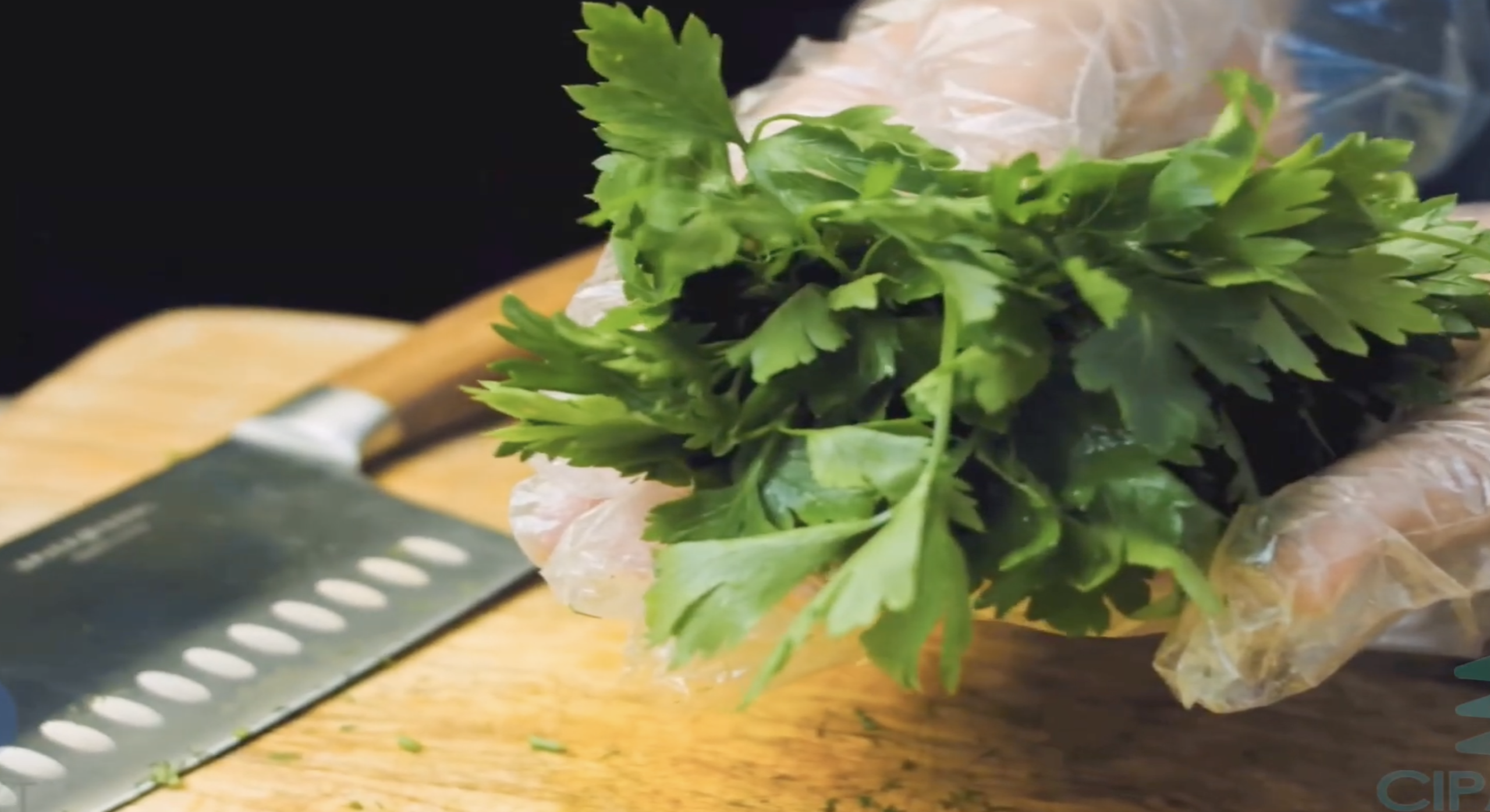 CIPAC-AIP: Cilantro
